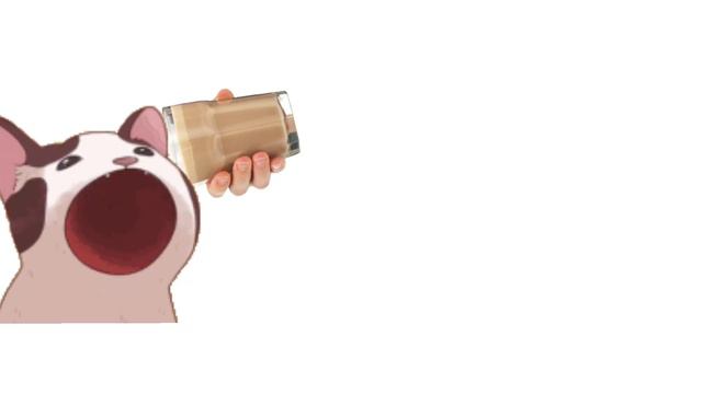 pop cat drinks choccy milk смотреть онлайн