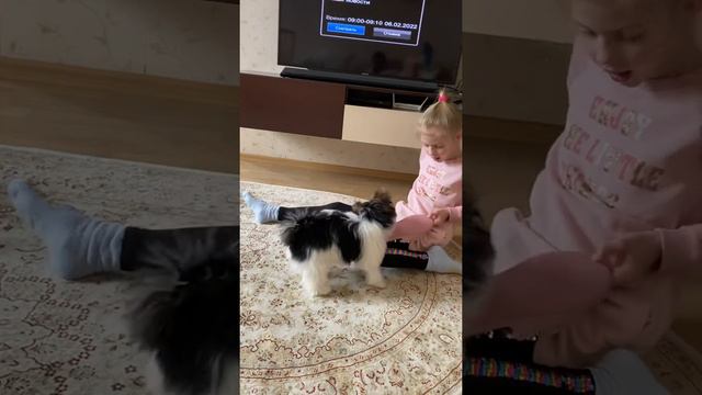 Бивер Йорк смотреть онлайн