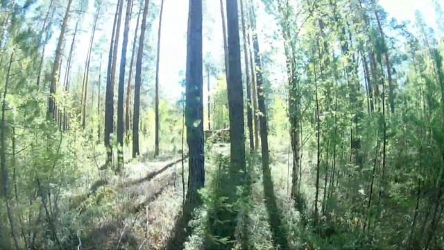 замена крыши на избушке в лесу смотреть онлайн