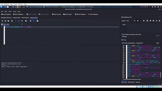 [Portswigger] SQL Injection Part 1 - Introduction смотреть онлайн