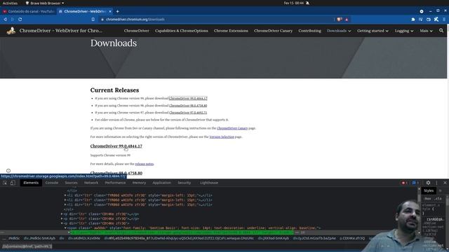 Download automático do CHROMEDRIVE para a versão corrente do GOOGLE CHROME смотреть онлайн