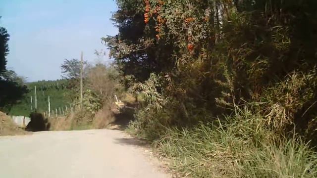 Full HD, Mtb, trilhas de Caçapava Velha, Bar do Jonas, 54 km, 8 amigos, SP, Brasil, 40 смотреть онлайн