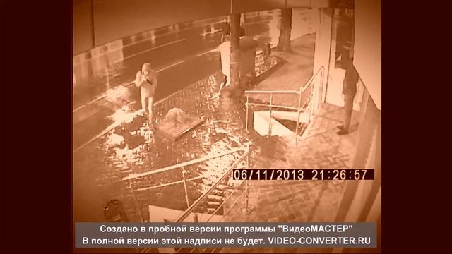 Быдло VS Туя смотреть онлайн