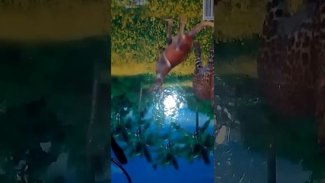 Я пошла делать бс и не сделала продолжения смотреть онлайн