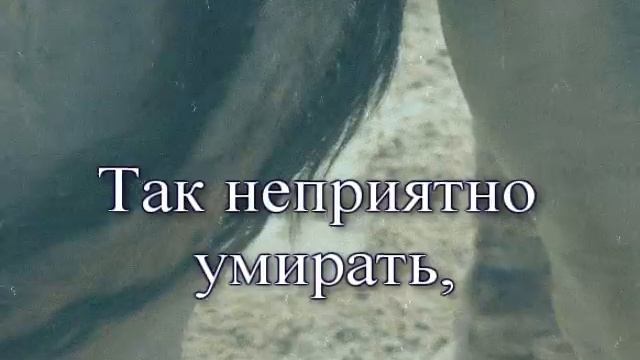 день обеда (тень обиды) смотреть онлайн