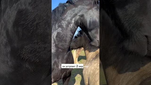 Строительные Материалы