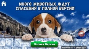 Учись читать спасай зверей!