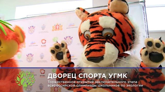 День 1 Всероссийской олимпиады школьников по экологии смотреть онлайн