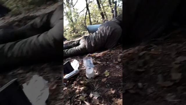 Режим ТЮЛЕНЯ смотреть онлайн