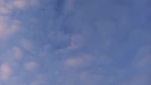 Тёплая бытовка из ОСБ своими руками