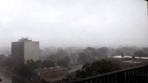 5 ТРЕНОЖНИКОВ СНЯТЫХ НА КАМЕРУ - Lion Channel