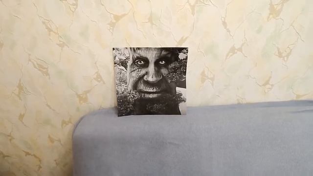 Пытаюсь разговорить дуб 25 лет подряд смотреть онлайн