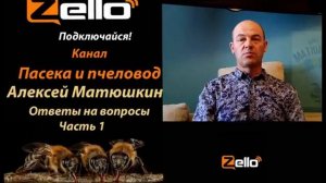 Алексей Матюшкин - Ответы на вопросы часть1, канал Пасека и пчеловод, рация Zello.
