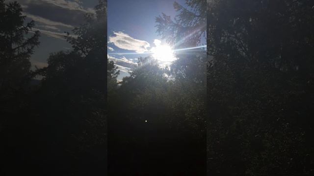 тренировка захода в горы и своей подготовки) алтай) Усть-кокса) Белуха) уч-сумер) беловодье) любовь смотреть онлайн