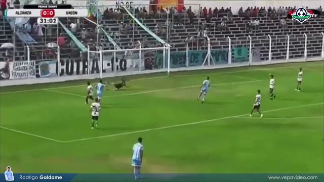 Rodrigo Galdame 2023 смотреть онлайн