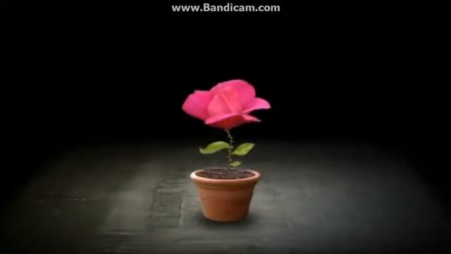 Игра Волшебное зерно. смотреть онлайн