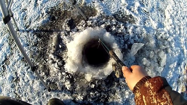 Бешенный Жор Окуня! Раздача Горбачей на Далёких Озёрах Тайги! смотреть онлайн