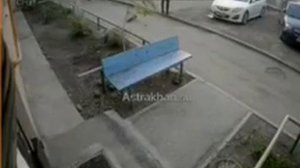 стая собак напала на ребенка