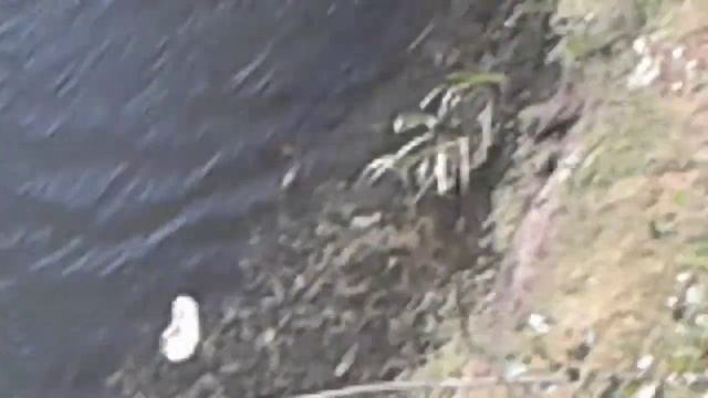 Обзор тактических очков с поляризацией, с 4мя сменными линзами, с Али. смотреть онлайн