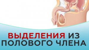 Выделения из полового члена.
