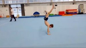 Вольные упражнения. Спортивная гимнастика 2 юношеский разряд. Подготовка/тренировка.