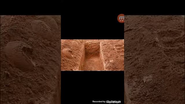 Вместе мы шли по канату смотреть онлайн