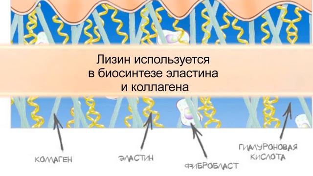 6 ПРИЧИН ЕСТЬ ЯЧНЕВУЮ КАШУ ХОТЯ БЫ РАЗ В НЕДЕЛЮ смотреть онлайн