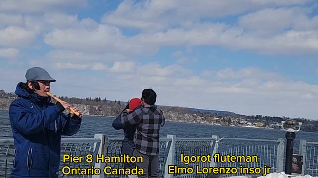 My heart will go on Titanic/Celine Dion Flute cover by Elmo Lorenzo inso jr смотреть онлайн