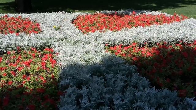 цветочная поляна смотреть онлайн