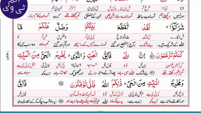 Tafseer ul Quran Surah Al An'am with Urdu Translation Ayaat 93 to 99 | Let's Understand Quran смотреть онлайн