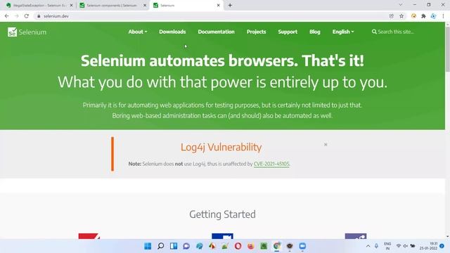IllegalStateException - Selenium Exception Type смотреть онлайн