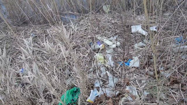 Veckans Miljöbrott i naturskyddat vattendrag fortsätter trots anmälan смотреть онлайн