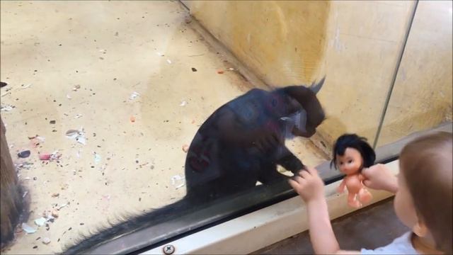 Зоопарк "12 месяцев" - Демидов смотреть онлайн