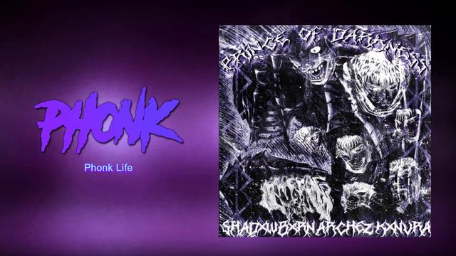 2023 TOP 10 AGGRESSIVE PHONK | Сборник агрессивного Фонка [House Phonk, Distortion,Cowbell] #2023