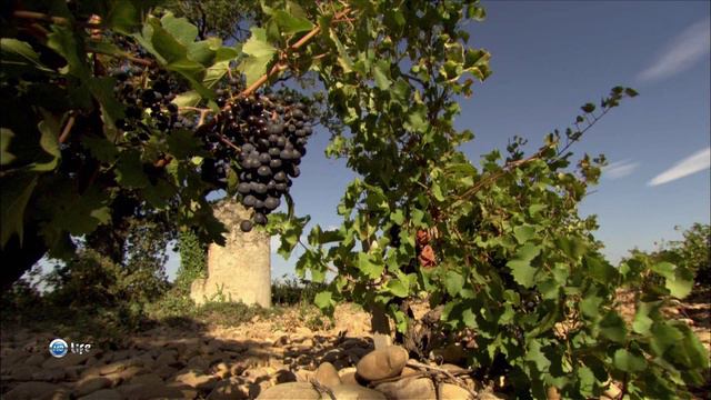 Ароматы мира 13 серия «Ароматы Прованса» (документальный сериал, 2007)