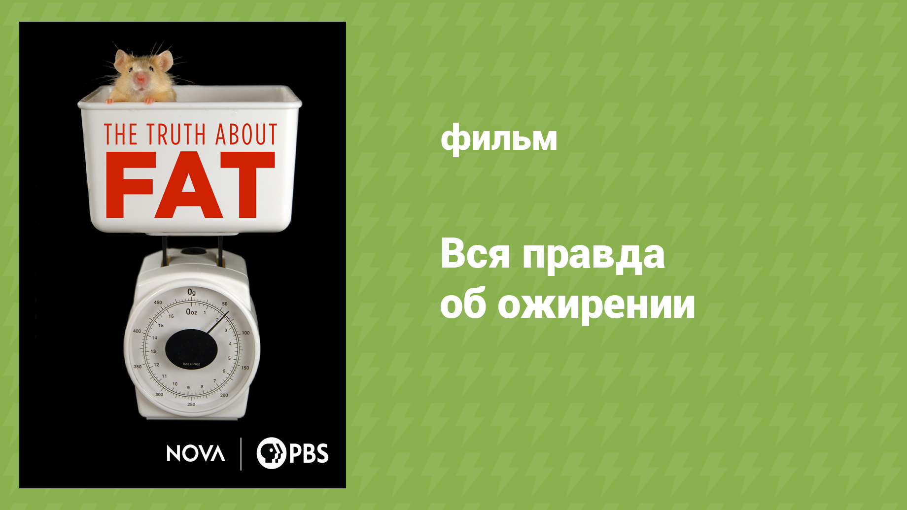 Вся правда об ожирении (документальный фильм, 2010) смотреть онлайн