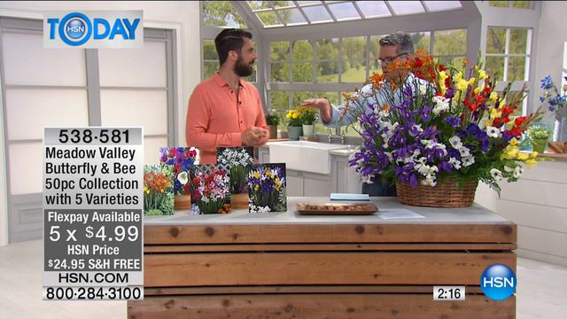 Meadow Valley Butterfly   Bee 50piece Collection