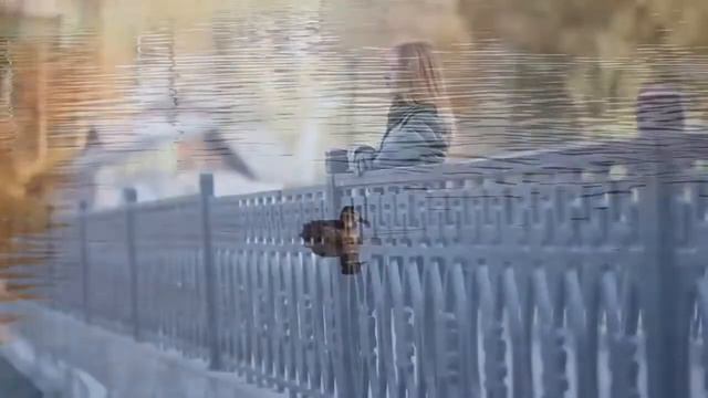 Девушка дождалась парня из армии смотреть онлайн