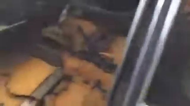 Car recycler parts Renault Clio, 2005.05 - 2009.06 1.2 16V 55kW смотреть онлайн