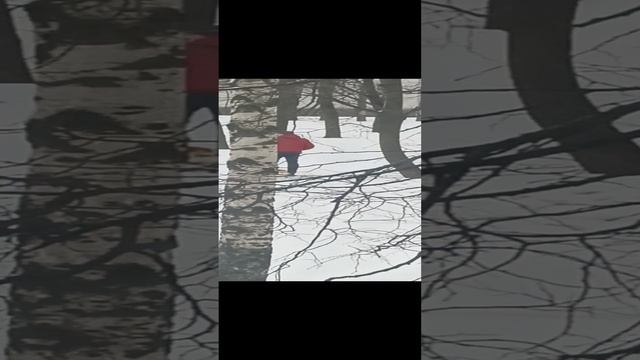 VID_20230314_095005.mp4 смотреть онлайн