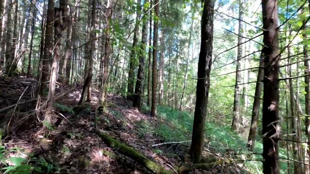 Река Тарка. Часть 1. От истока до Лаптева. Павловский район, Нижегородская область. смотреть онлайн