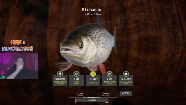 Трофей ГОЛАВЛЬ на Реке Белой в Русская Рыбалка 4 + корды + розыгрыш смотреть онлайн
