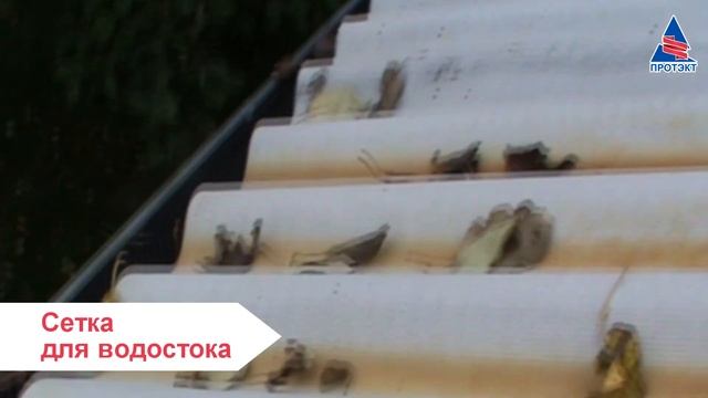 Осенний марафон по продукции для вашего дома и сада от компании Протэкт! смотреть онлайн