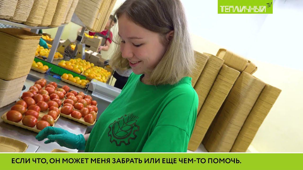 "Тепличный TV". Выпуск 27 смотреть онлайн