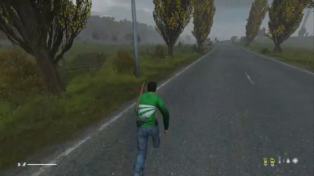 Dayz  