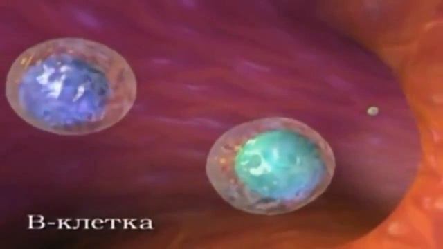 Исцеление эндокринной системы (христианская практика) смотреть онлайн