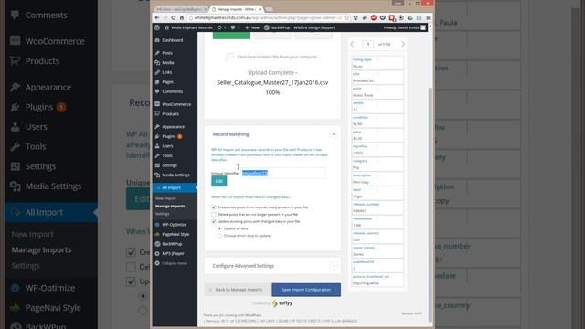 WP ALL Import - updating the catalog смотреть онлайн