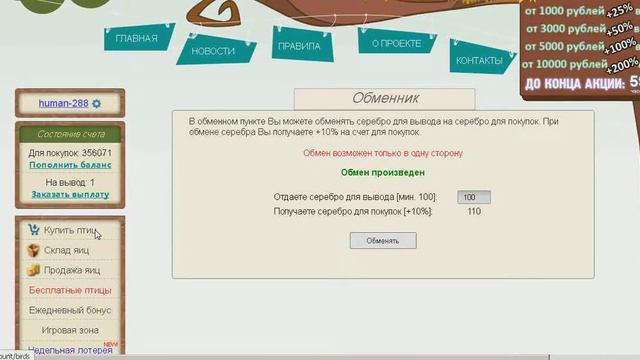 Описание Игры Рич Бёрдс смотреть онлайн