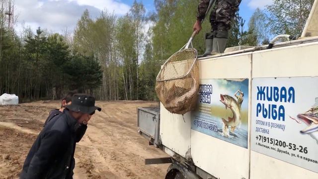 Осетр 05.05.2023 смотреть онлайн