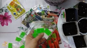 Почему  не всходят семена  перцев. ЧТО ВАЖНО ЗНАТЬ